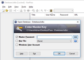 Figure 14. Locked instance of KeePass.